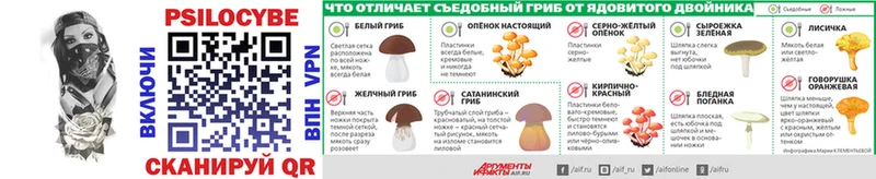 Галлюциногенные грибы прущие грибы  купить закладку  Буйнакск 