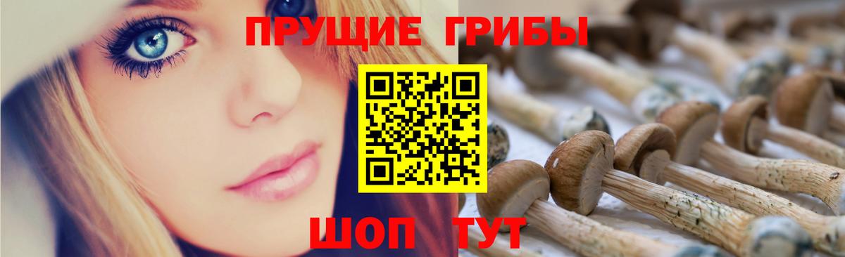 Галлюциногенные грибы мухоморы  Вход с VPN  где продают наркотики  Буйнакск 