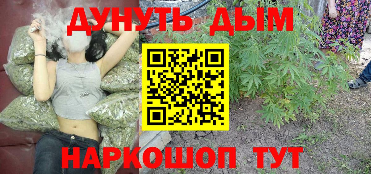 Бошки марихуана Amnesia Буйнакск